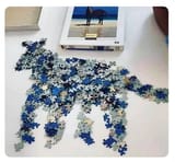 horse puzzle