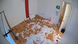 241