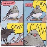 PSZkwDw