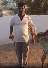 1620985240806