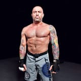98f4597712a76c23d84f2719beca4fbf44-12-joe-rogan.rsquare.w400