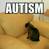 Autism kitty