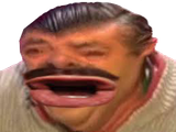1641980861998