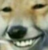 1653718151442