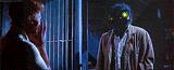 thefly
