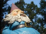 Gnomie