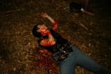 dead Tay