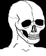 175009723429914681