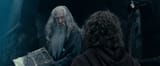 fool of a took