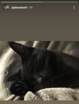 1730763430294