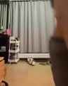 jcdance1_thumb.jpg