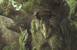 TreeBeard