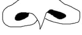 noze