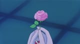 Stealing her heart