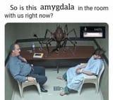 1651685494884
