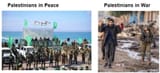 Nature of Palestinians