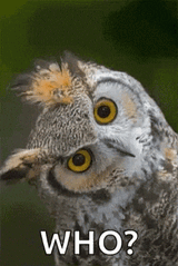 who