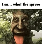 erm-what-the-spruce-tree