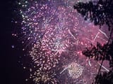 IMG_3183