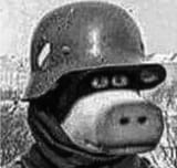 Otis