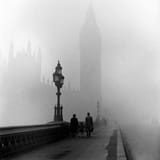 LondonFogBong