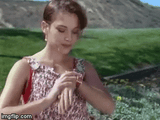 tumblr_ou47b3APSq1vxxjf1o2_r1_400