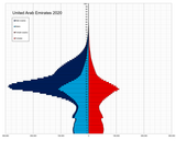 United_Arab_Emirates_single_age_population_pyramid_2020