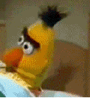 1303607871570