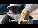 Beehive Limo_thumb.jpg