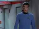 spock autism run 2_thumb.jpg
