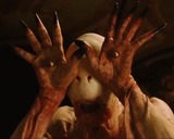 54