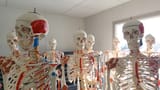 skeleton man
