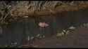 waterfall head splatter_thumb.jpg