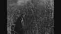 I.Walked.with.a.Zombie.1943.2_thumb.jpg