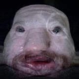 blob