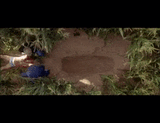 live_jet_cam