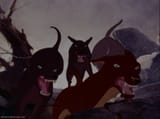Hunting_Dogs.jpg
