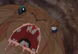 watership down
