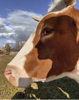 somecow