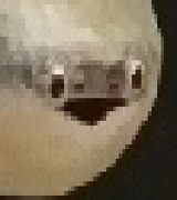 1607041995379