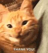 ty