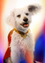 Krypto_First_look_4k
