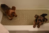 bathtime