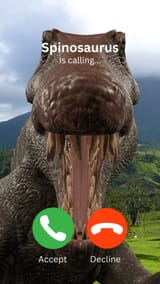 Spino Calling