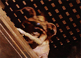 tumblr_pqxo242AOx1tdkro1o6_400