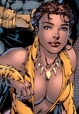 4436431-vixen_1[1]