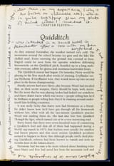 quidditch