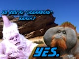 orangutan fucker