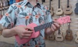 Ukulele