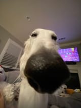 sniffffffffffffff